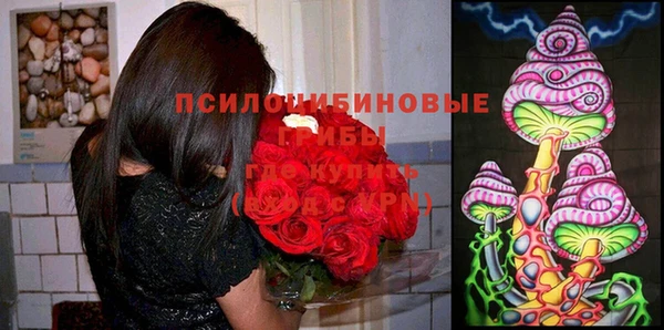 индика Зеленодольск